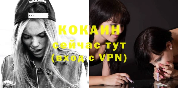 mdpv Ельня