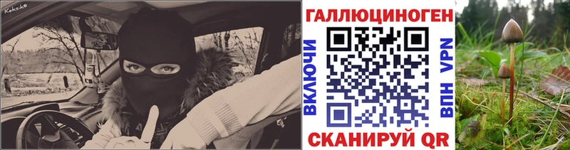 купить наркотики цена  Шебекино  Галлюциногенные грибы мухоморы 