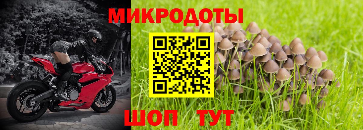 Шебекино  Галлюциногенные грибы Magic Shrooms  Вход с VPN 